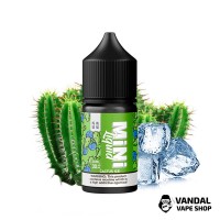 Black Triangle Mini Liquid Cactus Ice - 30 мл, 30 мг