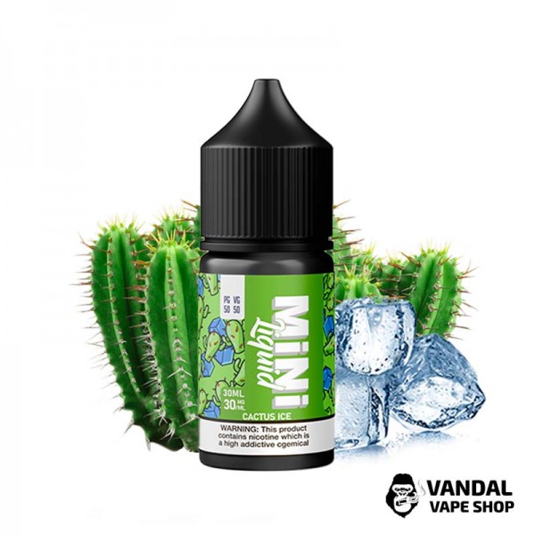 Жидкость Mini Liquid - 30 мл на солевом никотине 50 мг со вкусом кактуса со льдом