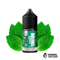 Black Triangle Mini Liquid Spearmint - 30 мл, 30 мг