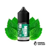 Black Triangle Mini Liquid Spearmint - 30 мл, 50 мг