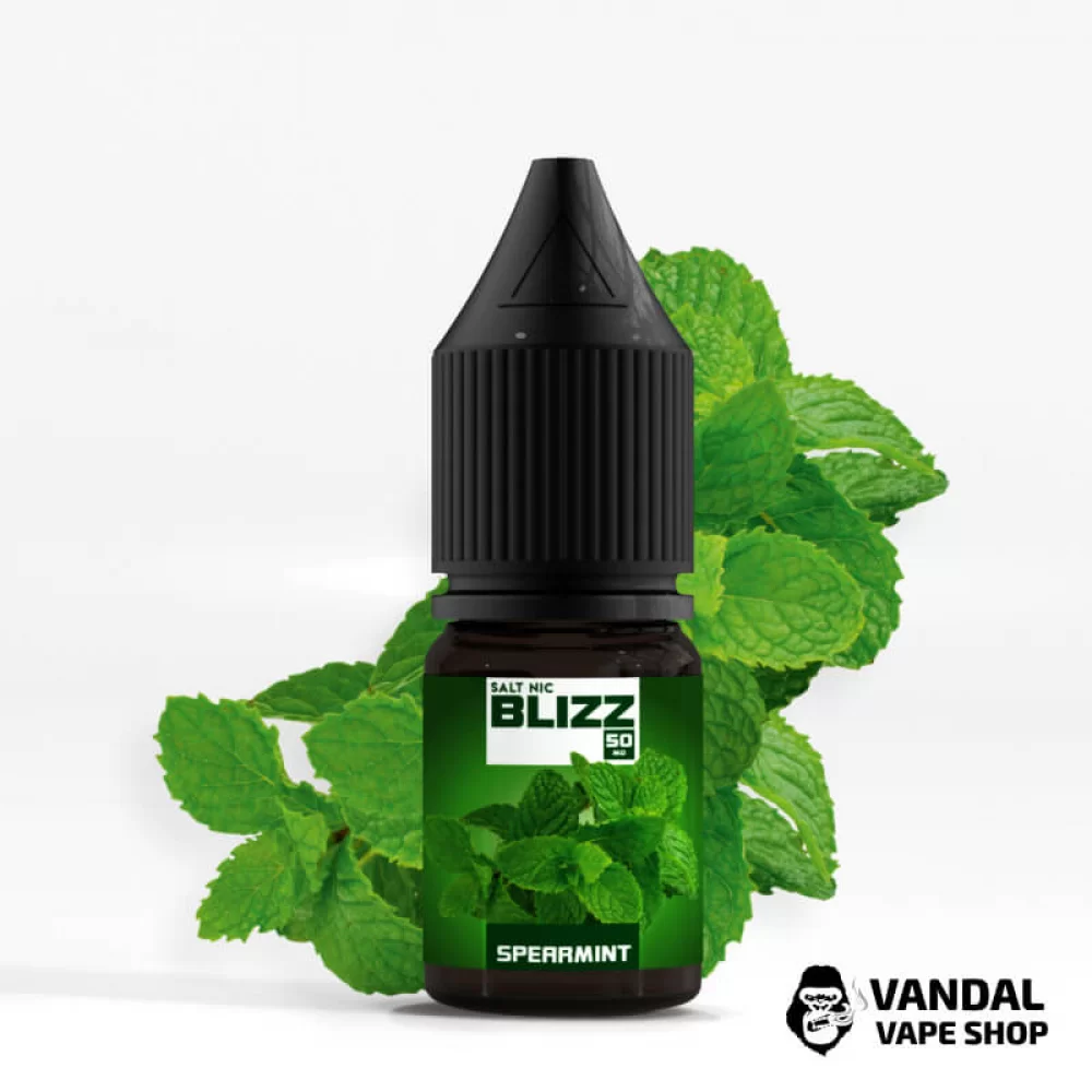ЖИДКОСТЬ Blizz Salt 10 мл НА СОЛЕВОМ НИКОТИНЕ 25 мг со вкусом мяты ЖИДКОСТЬ Blizz Salt 10 мл НА СОЛЕВОМ НИКОТИНЕ 25 мг со вкусом мяты