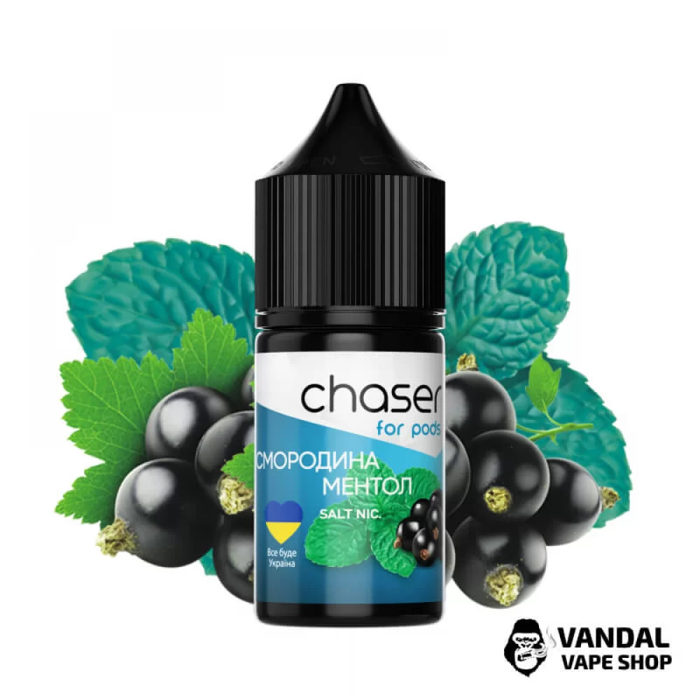 ЖИДКОСТЬ Chaser ForPods 30 мл НА СОЛЕВОМ НИКОТИНЕ 30 мг со вкусом смородины с ментолом ЖИДКОСТЬ Chaser ForPods 30 мл НА СОЛЕВОМ НИКОТИНЕ 30 мг со вкусом смородины с ментолом