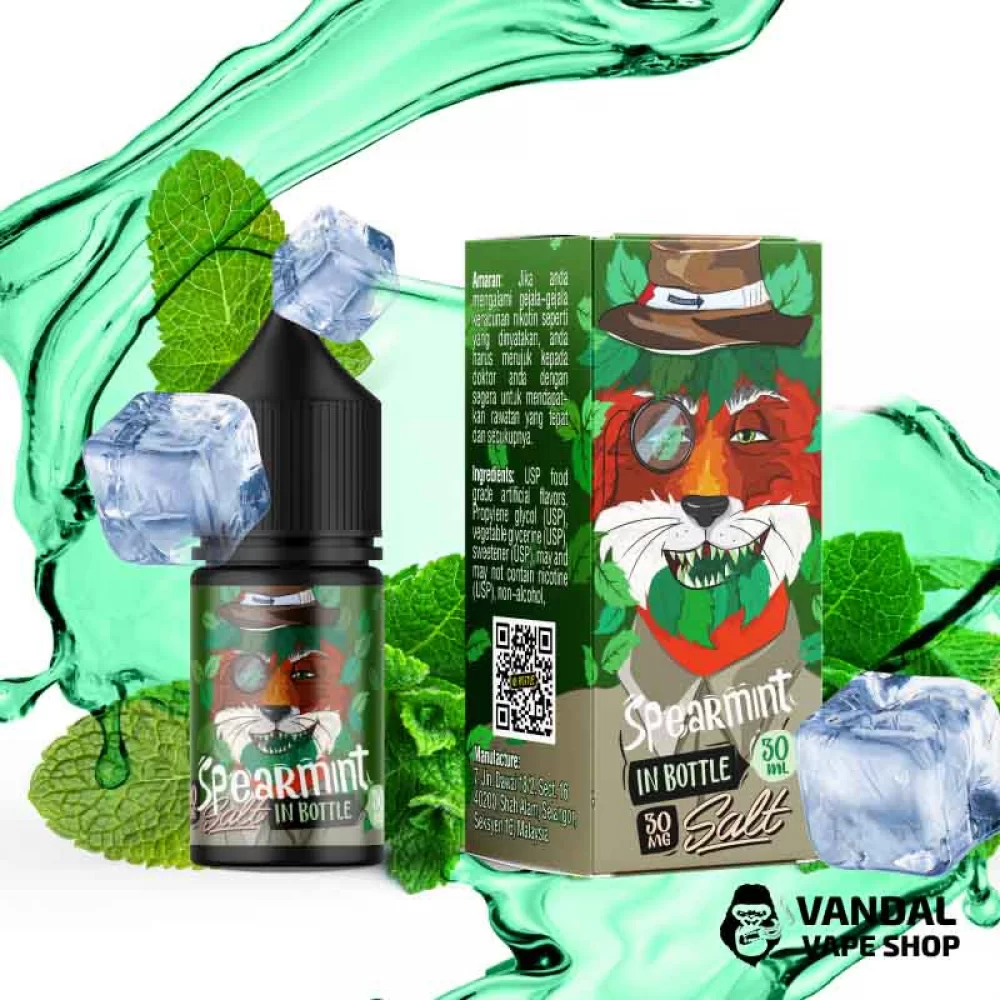 Жидкость In Bottle Salt 30 мл на солевом никотине 30 мг со вкусом мяты