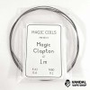 Дріт для спіралі Magic Coils Clapton - SS316 0.5 мм Nichrome 0.1 мм 1 м