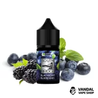 South Bridge - Blackberry Blueberry  30 мл 45 мг