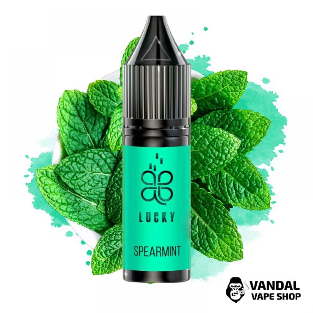 ЖИДКОСТЬ Lucky Salt 15 мл НА СОЛЕВОМ НИКОТИНЕ 50 мг со вкусом мяты ЖИДКОСТЬ Lucky Salt 15 мл НА СОЛЕВОМ НИКОТИНЕ 50 мг со вкусом мяты