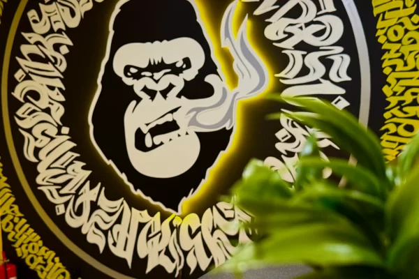 Винница, ул. Замостенская, 25