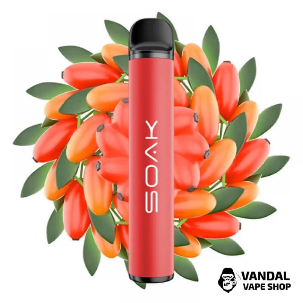 Одноразова Pod система Soak X 50 мг 850 мАг на 1500 затяжок зі смаком барбарису Одноразова Pod система Soak X 50 мг 850 мАг на 1500 затяжок зі смаком барбарису