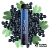 Forest Blackcurrant