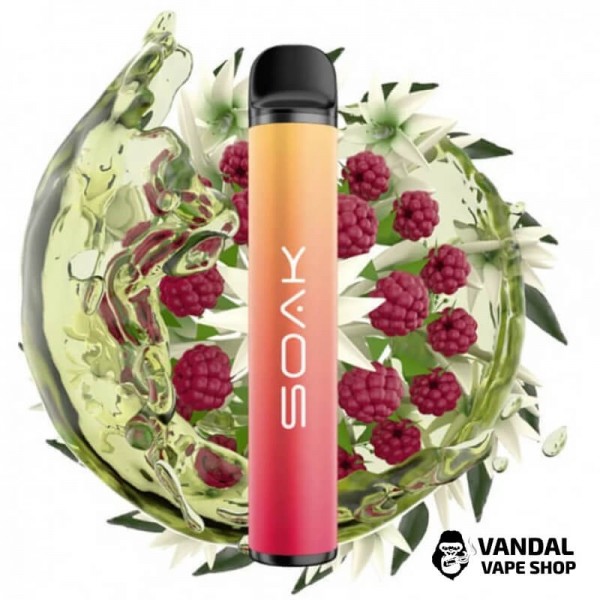 Одноразовая Pod система Soak X 50 мг 850 мАч на 1500 затяжек со вкусом жасминового чая с малиной