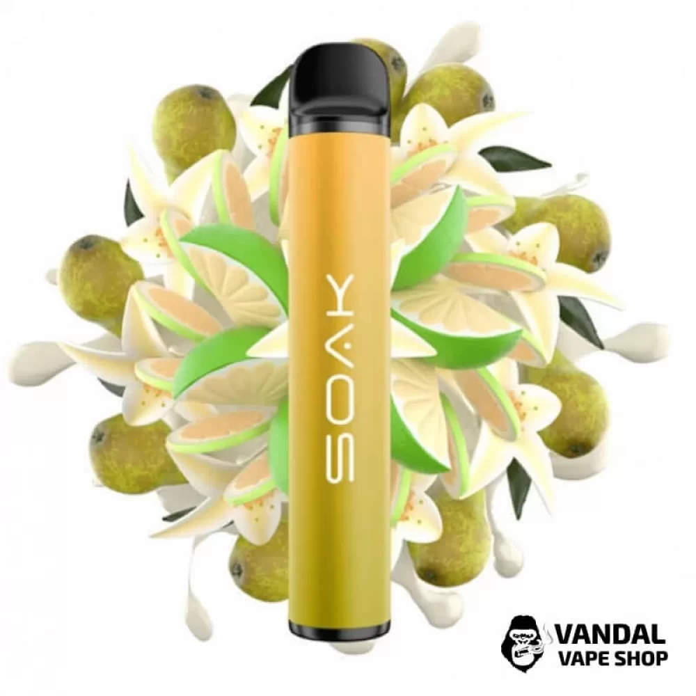 Одноразовая Pod система Soak X 50 мг 850 мАч на 1500 затяжек со вкусом груши и ванили Одноразовая Pod система Soak X 50 мг 850 мАч на 1500 затяжек со вкусом груши и ванили