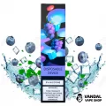 Одноразова Pod система ZeeZee Disposable Pod Kit 5% 850 mAh на 1500 затяжок зі смаком чорниці з льодом