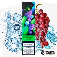ZeeZee Disposable Pod Kit 5% 850 mAh 1500 Puffs - Ice Grape
