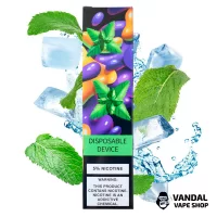 ZeeZee Disposable Pod Kit 5% 850 mAh 1500 Puffs - Mint