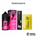Набор для самозамеса Chaser Squid Game 30 мл 65 мг - со вкусом алое и мяты