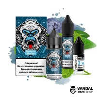 Набори для самозамісу FL350 Salt 30 мл 50 мг - Blueberry Menthol