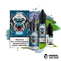 Наборы для самозамеса FL350 Salt 30 мл 50 мг - Blueberry Menthol
