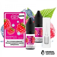 Набір для самозамісу Flavorlab Disposable Puff Strong - Raspberry Ice 10 мл 50 мг