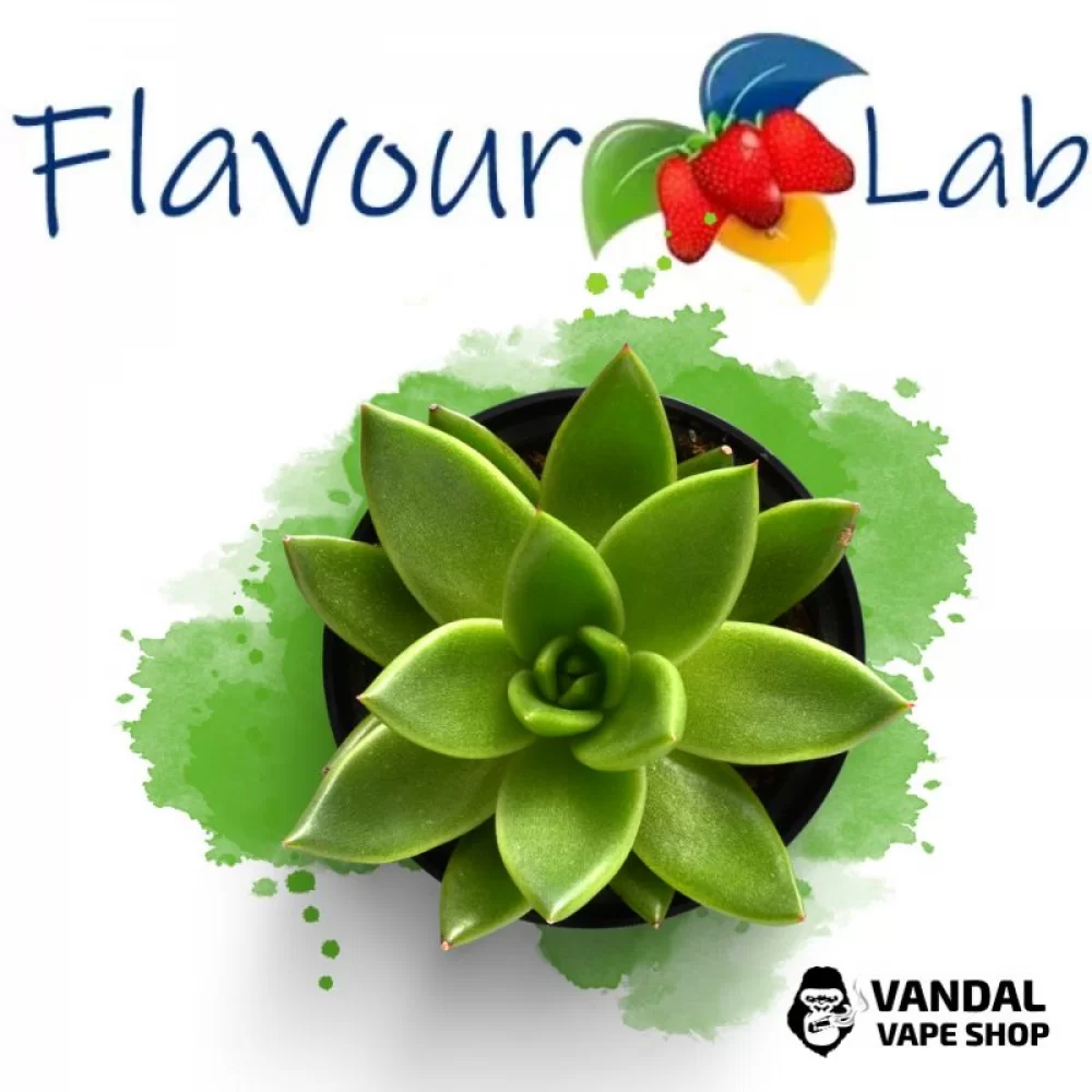 Ароматизатор FlavourLab 10 мл со вкусом кактуса