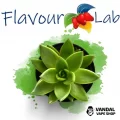 Ароматизатор FlavourLab 10 мл зі смаком кактуса