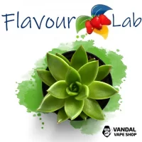 Ароматизатор FlavourLab 10 мл - Кактус