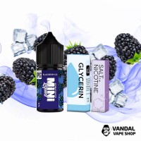 Наборы для самозамеса Mini Liquid  30 мл 25 мг - Blackberry Ice
