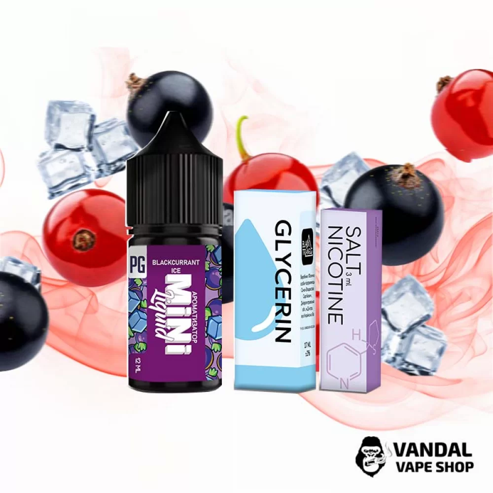 Набір для самозамісу Mini Liquid 30 мл 25 мг зі смаком смородини з холодком Набір для самозамісу Mini Liquid 30 мл 25 мг зі смаком смородини з холодком