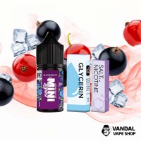 Набори для самозамісу Mini Liquid  30 мл 25 мг - Blackcurrant Ice