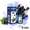 Black Currant