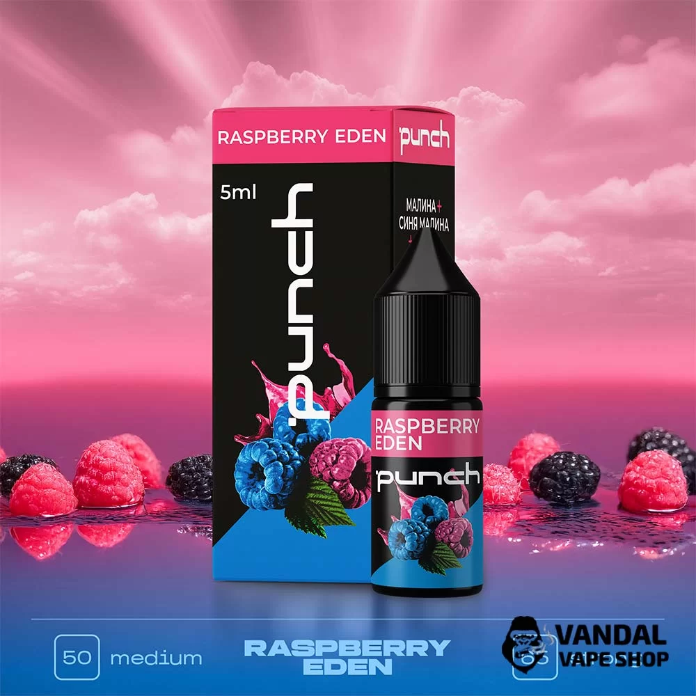 Набір для самозамісу Punch 10 мл на сольовому нікотині зі смаком малини та ожини