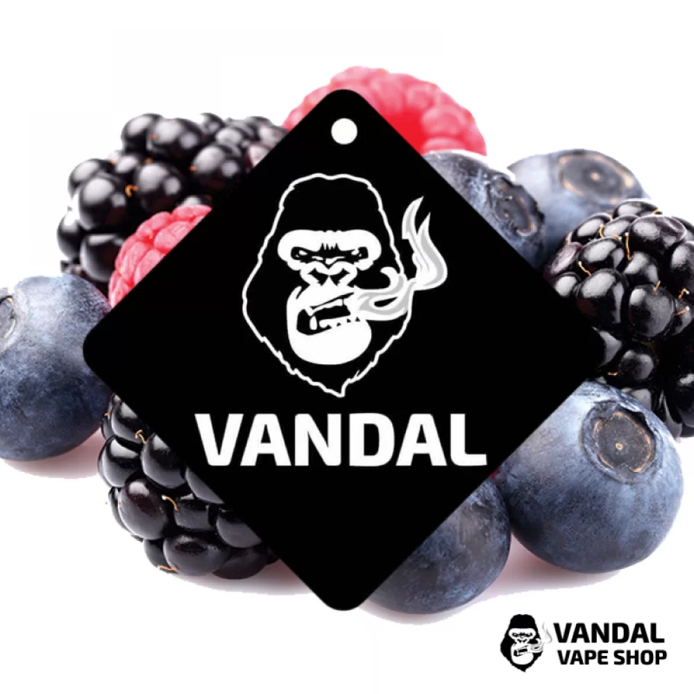 Ароматизатор для авто - Vandal Vape с ароматом малины, ежевики и черники