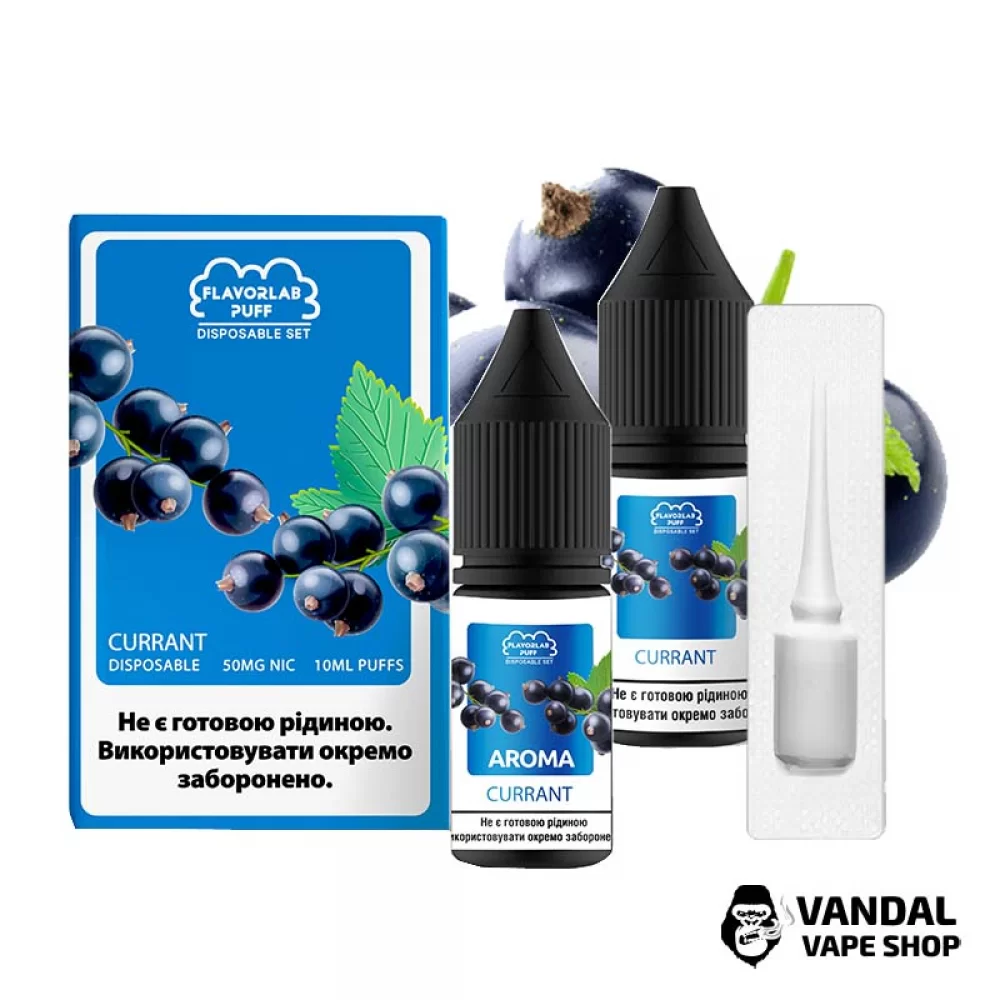 Набір для самозамісу Flavorlab Disposable Puff зі смаком ягід чорної смородини 10 мл 50 мг