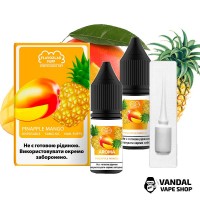 Набір для самозамісу Flavorlab Disposable Puff Pineapple Mango 10 мл 50 мг
