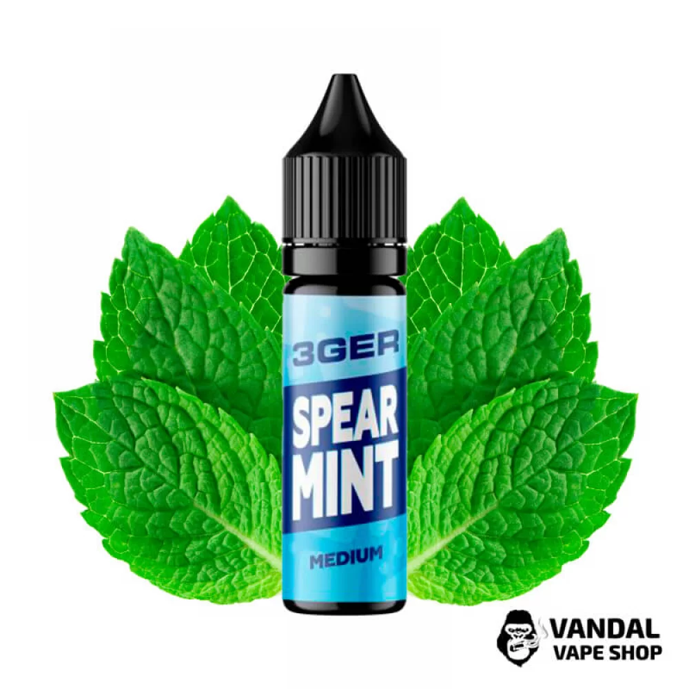 ЖИДКОСТЬ 3Ger Salt 15 мл НА СОЛЕВОМ НИКОТИНЕ 50 мг СО ВКУСОМ мяты ЖИДКОСТЬ 3Ger Salt 15 мл НА СОЛЕВОМ НИКОТИНЕ 50 мг СО ВКУСОМ мяты